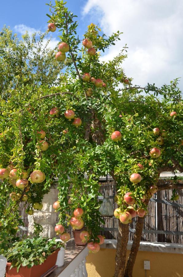 Villa Katarina Srima Dış mekan fotoğraf